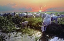 The puszta of Hungary, visit Hortobagy and Debrecen, private tour