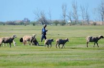 The puszta of Hungary, visit Hortobagy and Debrecen, private tour