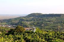 Villany wineroad, private tour with Pécs