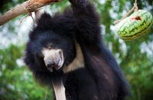 Bear Rescue Center and Wonderful Taj Mahal