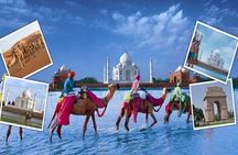 India's Best Seller-Taj Mahal and Agra Fort Tour From Delhi