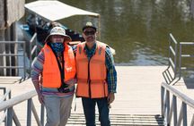 Full Day Tour Mangroves Dolphins and Cocoa Farm from Guayaquil