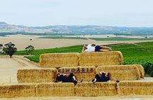 Barossa Wine Tasting shared tours