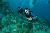 Diving at Koh Chang, daytrip with 2 dives