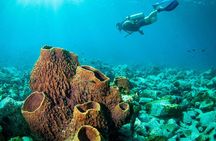 Diving at Koh Chang, daytrip with 2 dives
