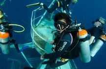 Diving at Koh Chang, daytrip with 2 dives
