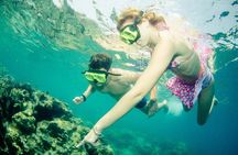 Snorkeling Adventure at Koh Chang – Departing from Koh Chang