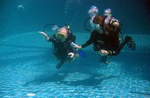 Padi open water diver course, become a diver in 3 days