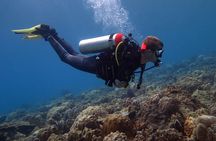Discover Scuba diving, try diving for beginners (starts from Koh Chang)