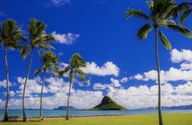 Circle Island Tour with Waimea Waterfall