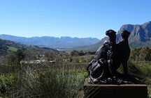 Private Wine Tour with Wine Expert to Stellenbosch-Franschhoek Wine Regions
