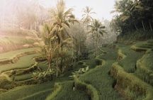Bali : Full Day Traditional Village & Sightseeing 