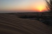 Sun Rise Desert Safari & Sandboarding (Private Vehicle)