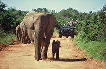 Cape Town South Africa, 2 Days Overnight Safari Tour Game Reserve 