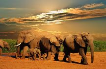 Cape Town South Africa, 2 Days Overnight Safari Tour Game Reserve 