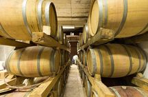  Konavle wine tasting tour from Dubrovnik with 2 vinery's 