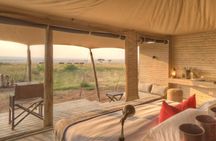 Cape Town South Africa, 2 Days Overnight Safari Tour Game Reserve 