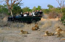 Cape Town - The Best of Aquila Safari Tour 