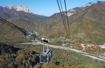 [Premium Private Tour] Mt Seorak & East Sea or Nami island from Seoul
