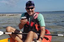 Manatee and Dolphin Kayaking | Wildlife Refuge (Titusville)