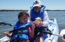 Manatee and Dolphin Kayaking | Wildlife Refuge (Titusville)