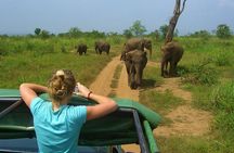 2 Days Tour to Galle & Udawalawe National Park