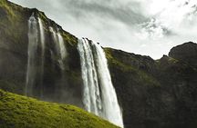 Day Trip to Nuwara Eliya with Kingfisher Tours