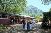 Circle Island Tour with Waimea Waterfall