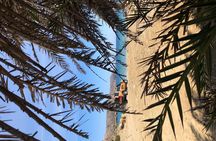 VIP Luxury Private Tour- Half Day - 4x4 Excursion with Land Rover