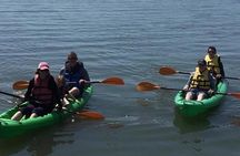 Tandem Kayak Rental in Rehoboth Bay
