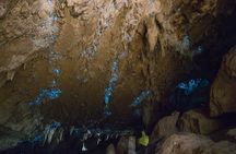 Kawiti Glow Worm Cave Tour & Opua Forest Walk