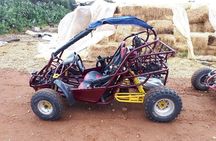 Dune Buggy's