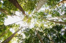 Discovery K'gari (Fraser Island) Day Tour - From Noosa