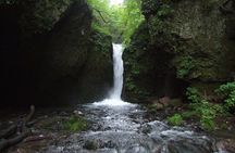 Relax and refresh in Karuizawa Forest! Shinanoji down trekking around two people