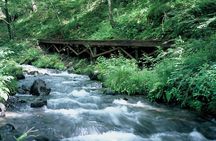 Relax and refresh in Karuizawa Forest! Shinanoji down trekking around two people