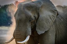 3 Days 2 nights Amboseli Daily Departures