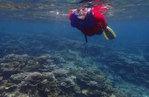 Anilao Snorkel Safari: Explore the Amazing Underwater World