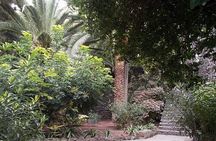 VIP TOUR: Tenerife Grand Tour (Without Teide)