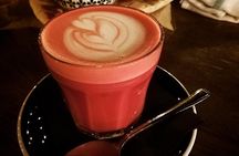 Vegan Bratislava Food Tour