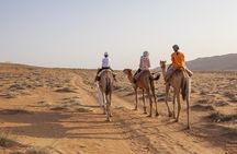 Dubai Sunset Camel Trekking with Shows & BBQ Dinner