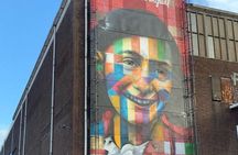 Amsterdam City & Countryside Tour: The Best of both Worlds