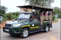 3 Day Kruger National Park and Crocodile River Safari