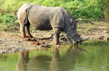 3 Day Kruger National Park and Crocodile River Safari