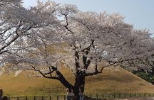 2 Days Gyeongju Private Tour from Seoul and Near Seoul