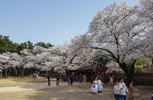 2 Days Gyeongju Private Tour from Seoul and Near Seoul