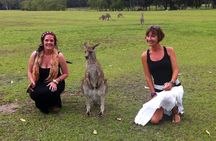 Hunter Valley Private Wine Tasting Tour from Sydney