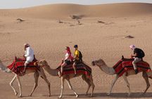 Dubai Sunset Camel Trekking With BBQ Dinner at VIP Camp