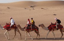 Dubai: Adventure Quad Bike Safari, Sandboarding, Camel Ride & BBQ 