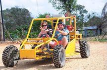 Full-Day Adventure: 4x4 Experience, Snorkeling Cruise, Sharks & Rays