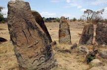 DAY TRIP TO THE UNESCO HERITAGE SITE TIYA & Melka Kunture